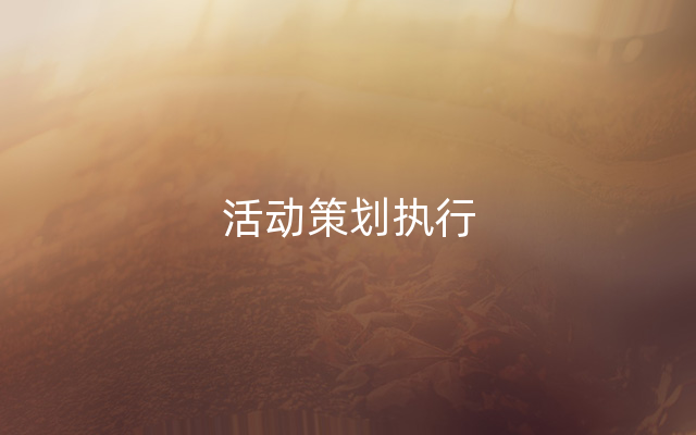 活动策划执行