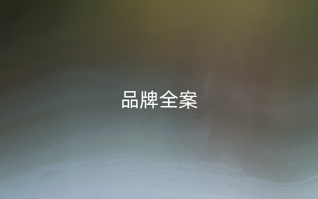 品牌全案