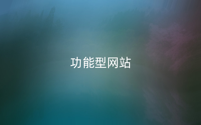 功能型网站