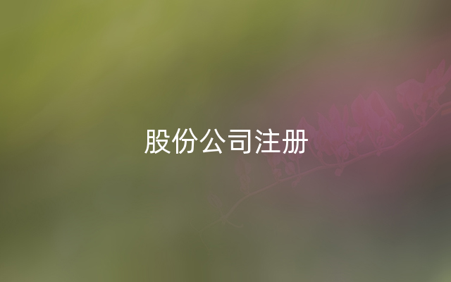 股份公司注册