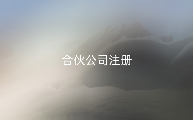合伙公司注册