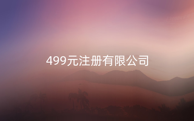 499元注册有限公司