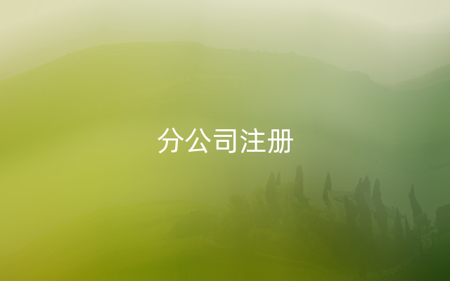 分公司注册