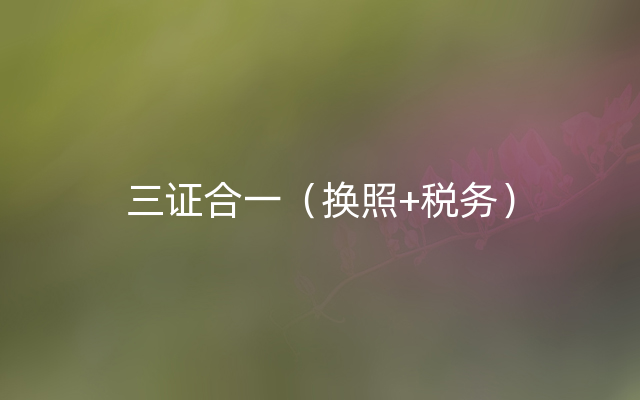 三证合一（换照+税务）