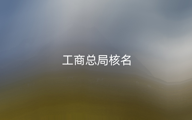 工商总局核名