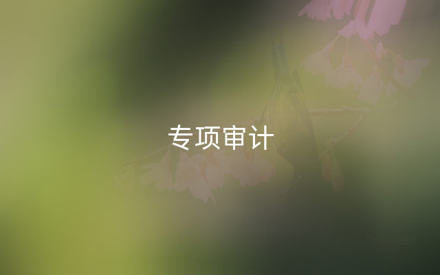 专项审计