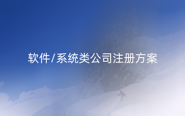 软件/系统类公司注册方案