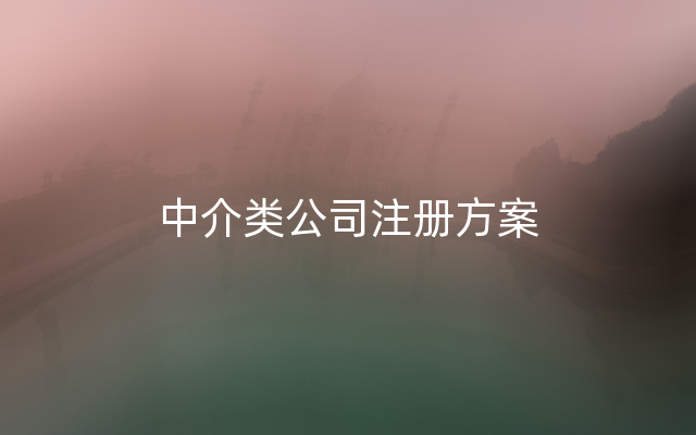 中介类公司注册方案