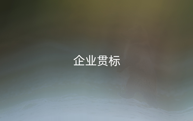 企业贯标