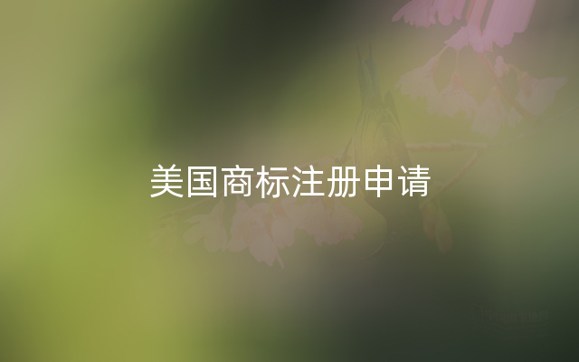美国商标注册申请