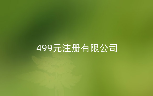 499元注册有限公司
