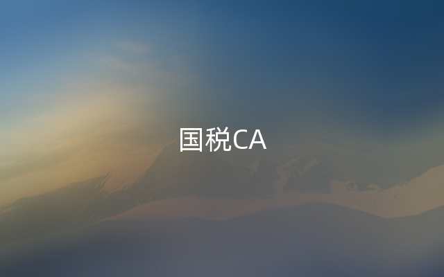 国税CA