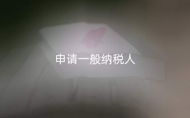 申请一般纳税人