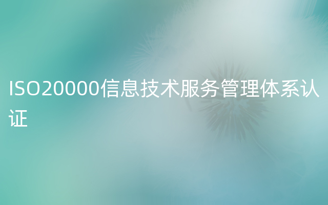 ISO20000信息技术服务管理体系认证