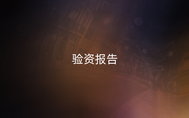 验资报告