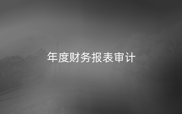 年度财务报表审计