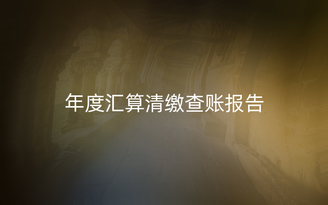 年度汇算清缴查账报告