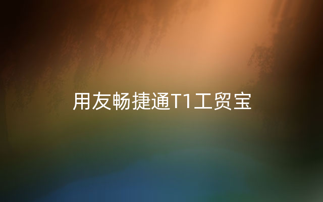 用友畅捷通T1工贸宝