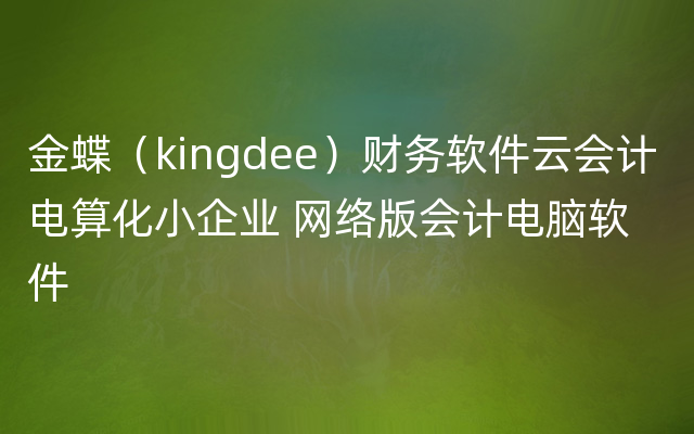 金蝶（kingdee）财务软件云会计 电算化小企业 网络版会计电脑软件