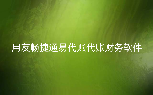 用友畅捷通易代账代账财务软件