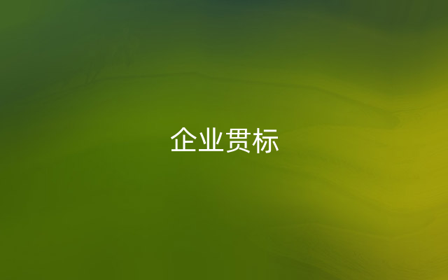 企业贯标