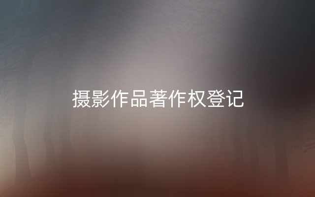 摄影作品著作权登记