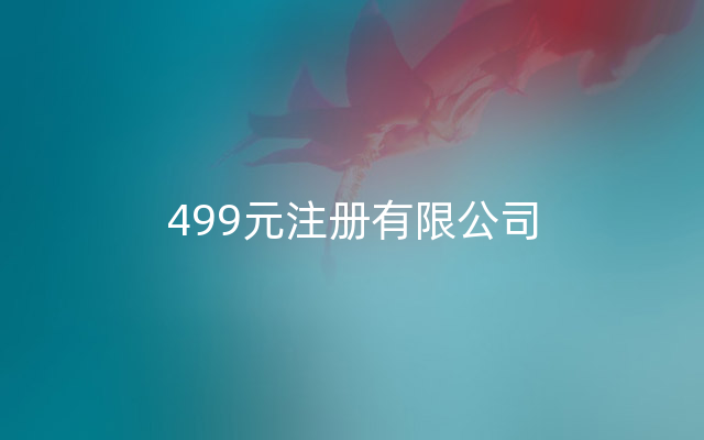 499元注册有限公司