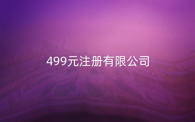 499元注册有限公司
