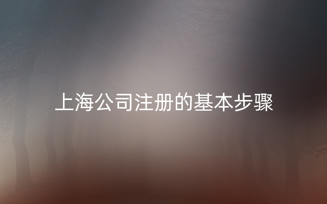 上海公司注册的基本步骤