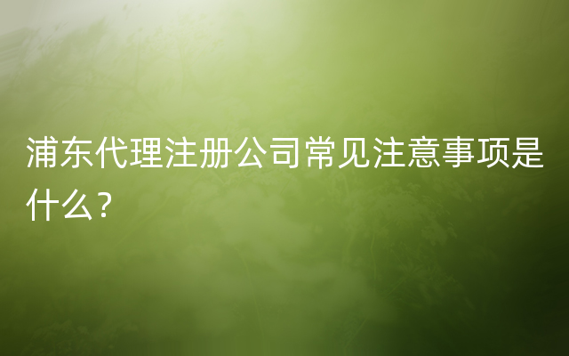 浦东代理注册公司常见注意事项是什么？