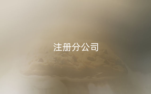 注册分公司